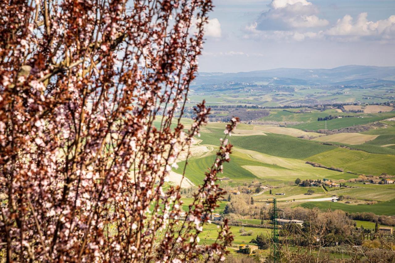 Agri Apartment La Terrazza La Ripadoro Chianni Zewnętrze zdjęcie